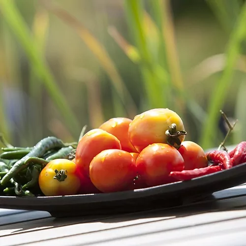 Fresh Tomatoes at L'Osteria Italian Lunch Restaurant Lombok