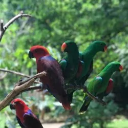 Lombok Wildpark a perfect choice for children in lombok