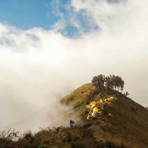 A scenic view of a Rinjani camping site with colorful tents pitched along a mountain ridge, surrounded by clouds and lush landscapes in Lombok, Indonesia.