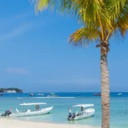 Palm tree on the beach with boats floating in turquoise waters at Gili Island