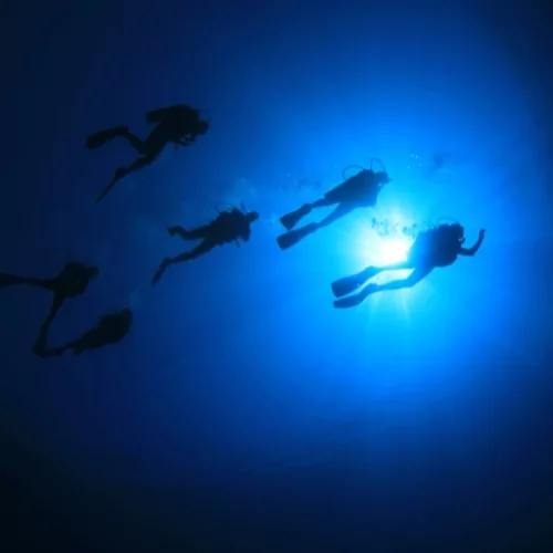 Group of beginner scuba divers silhouetted against the sunlit ocean surface