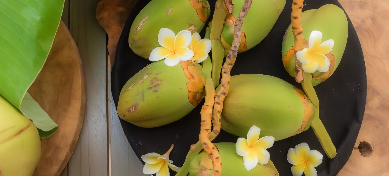 Sirtfood Wellness and healthy coconuts at The Lombok Lodge