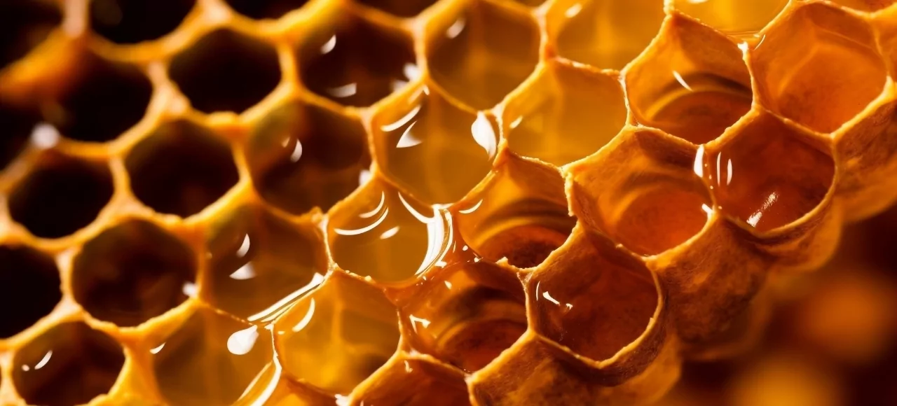 Sustainability at our Lombok Resort - Visit our Bee Farm